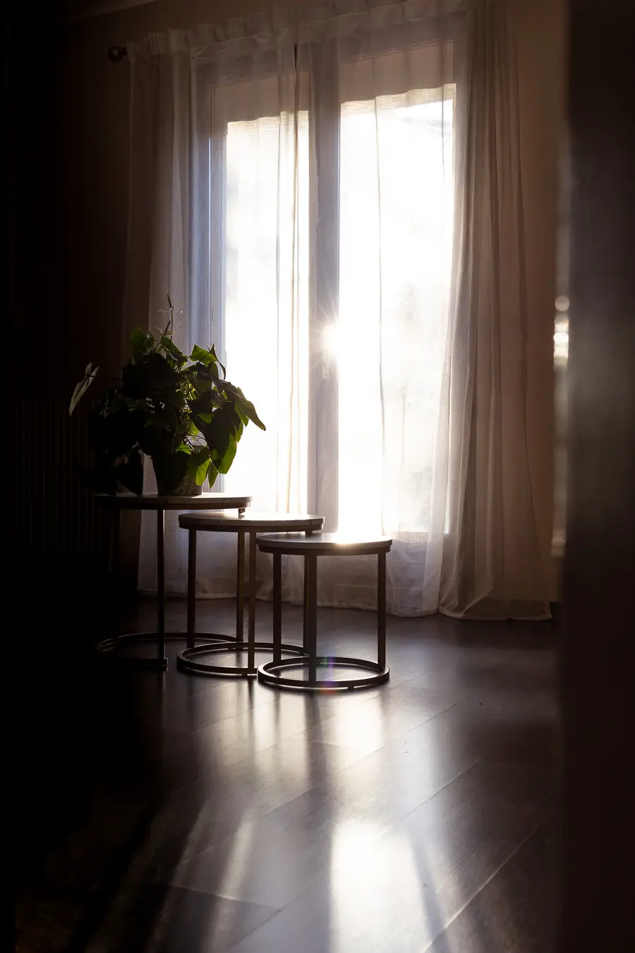 Home Studio Cathie LJ Photographie- Sainte-Mesme à Sainte-Mesme