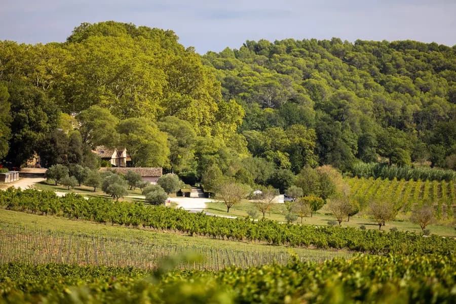 Château Mentone à Saint-Antonin-du-Var