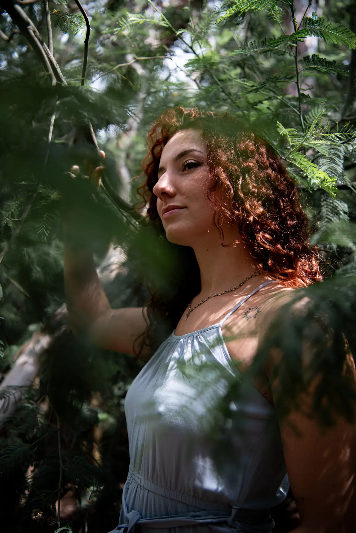 Aperçu du projet de Laetitia Miralles